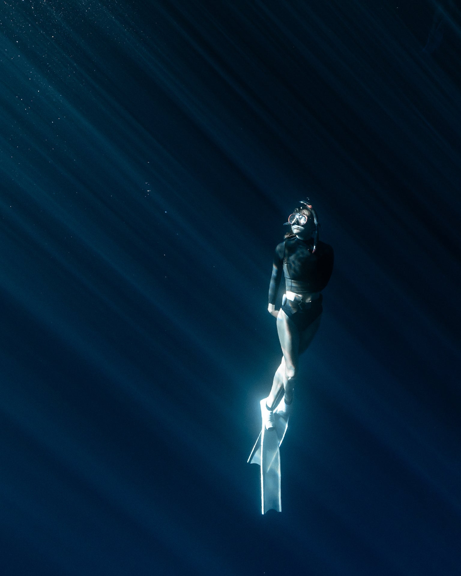 A day in the life, with Bjork