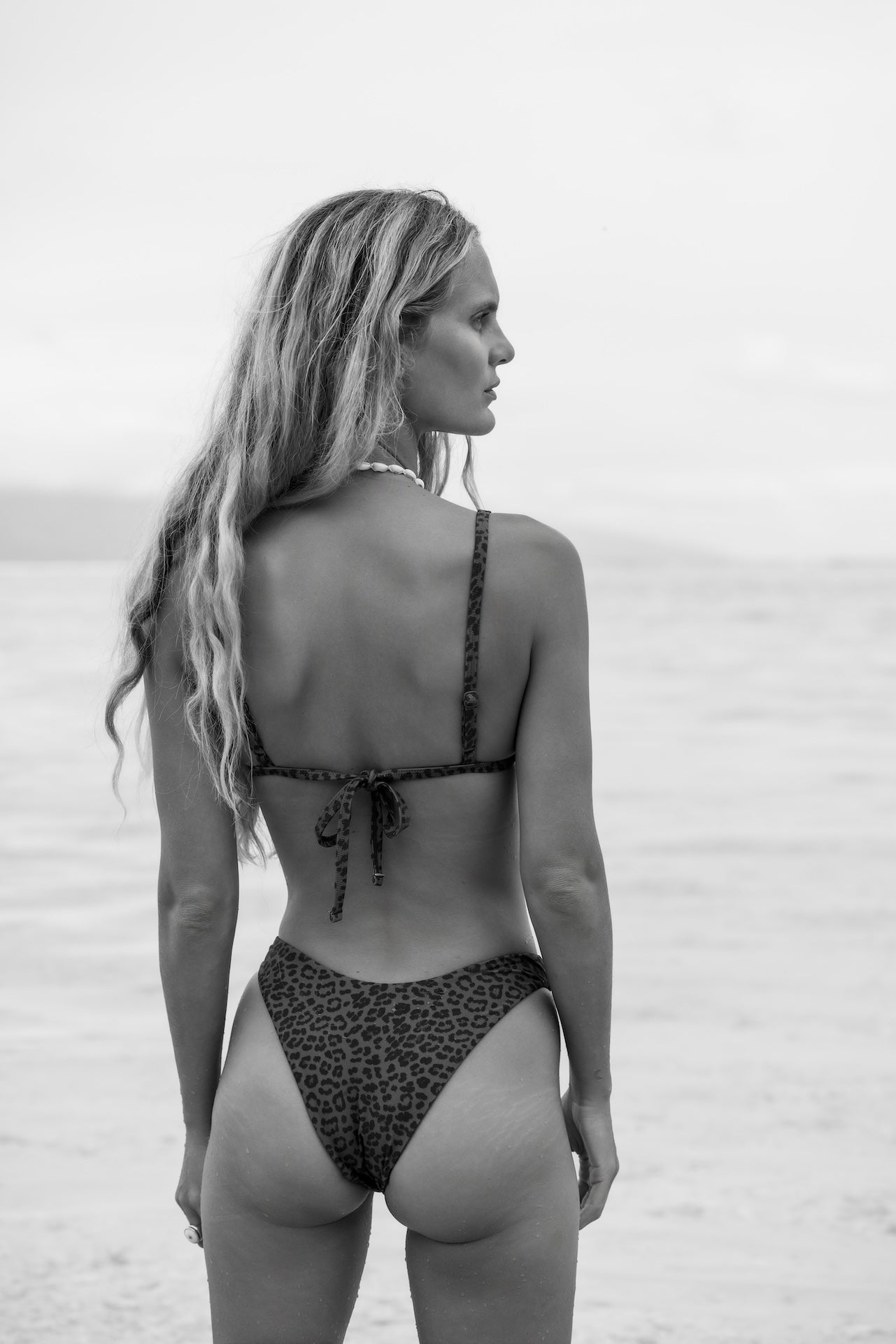 Zamba | Bikini Top - Abysse x Roark - Leopard | Sustainable Swimwear
