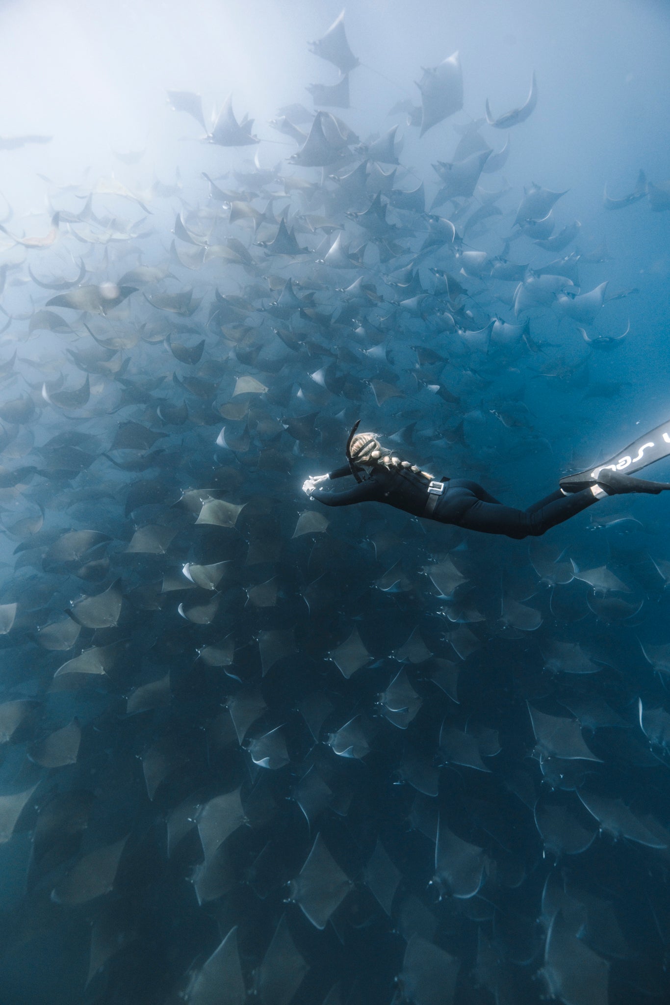 Clark | Womens Full Wetsuit - Black 3mm Eco Neoprene Surf Suit 