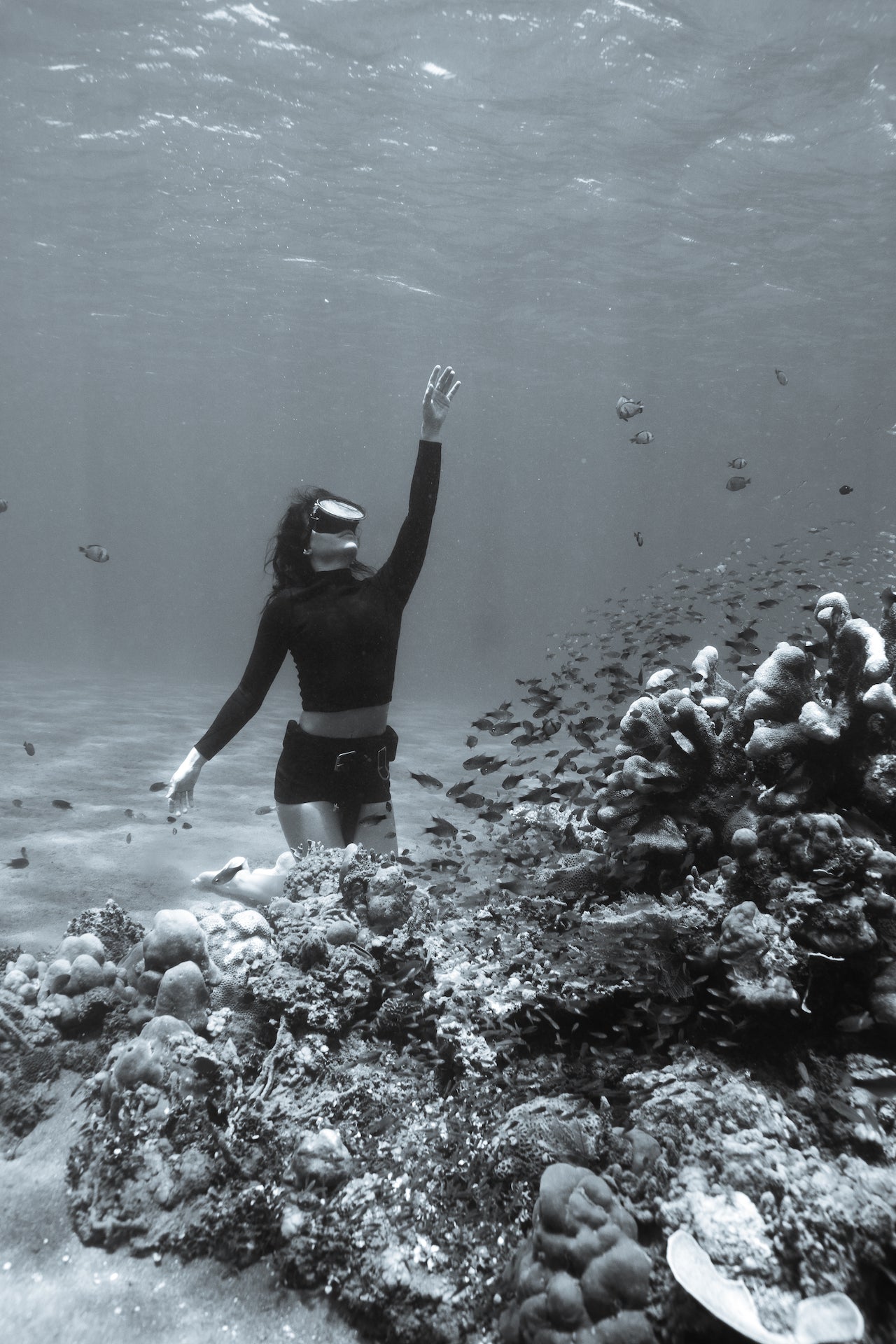 Pam | Crop Rash Guard - Black Eco Neoprene  