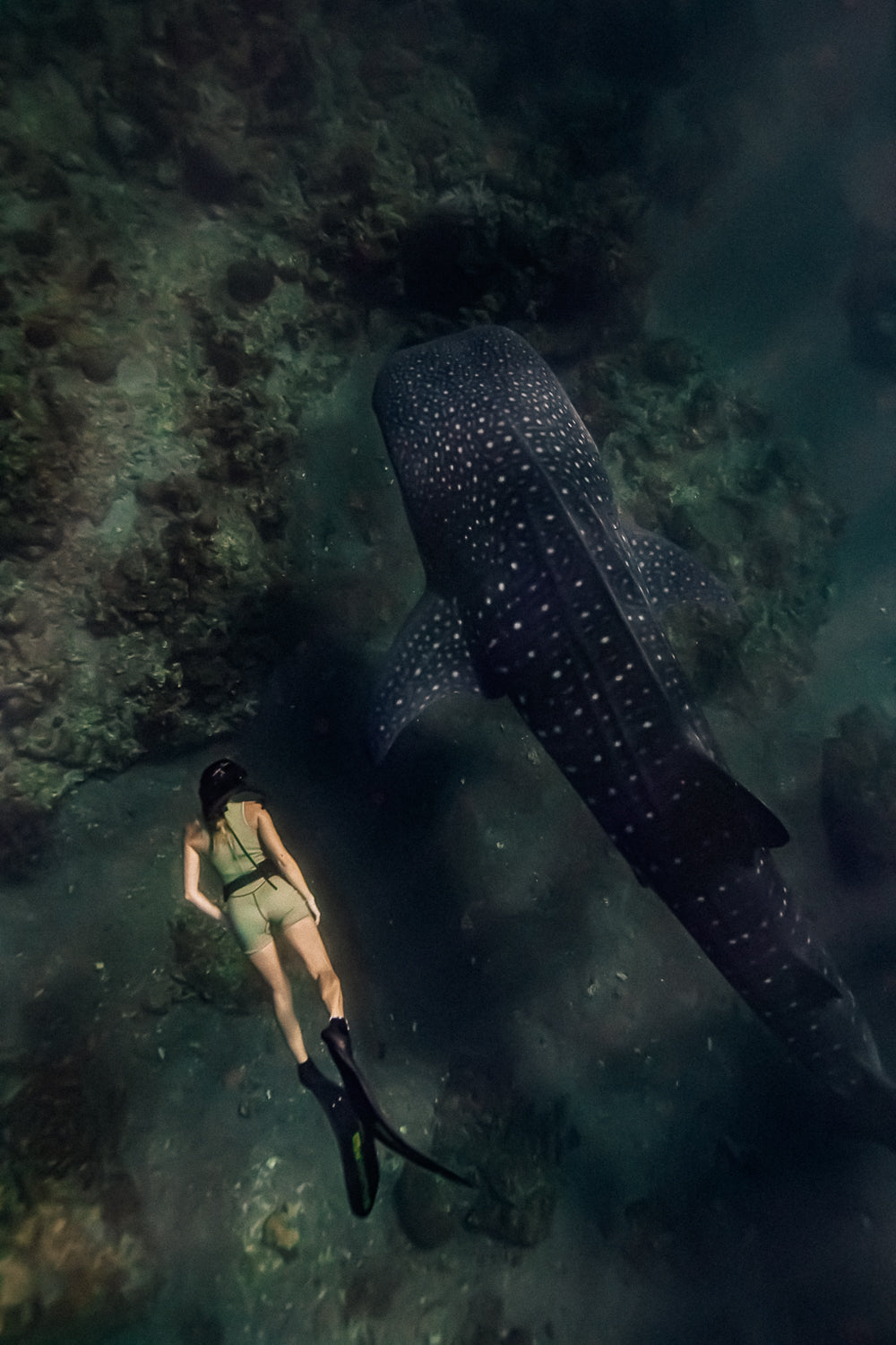 Fraser Short Jane – Aloe 2mm