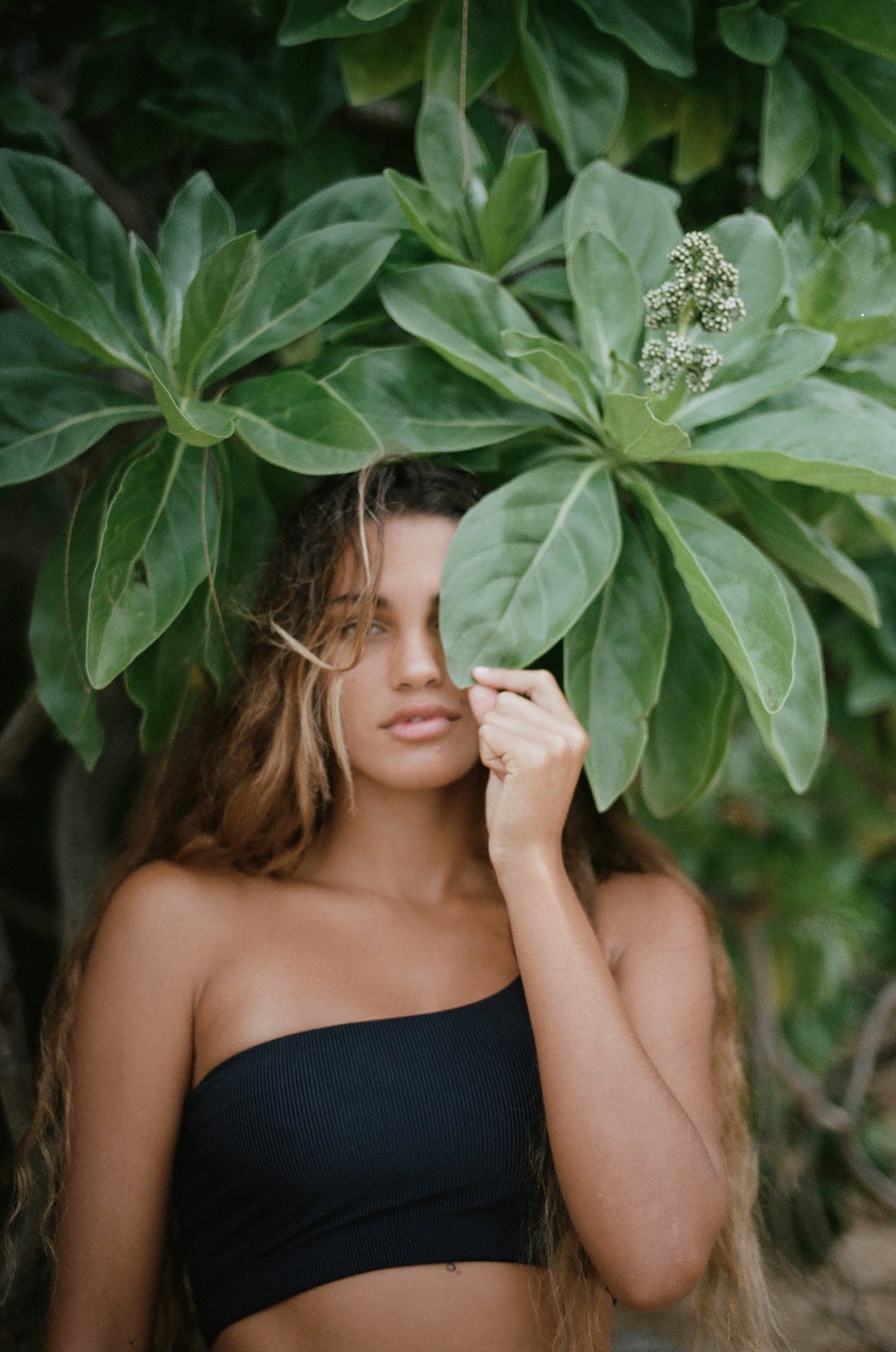 Jones | One Shoulder Bikini Top- Jet-rib| ABYSSE (Free Shipping USA)