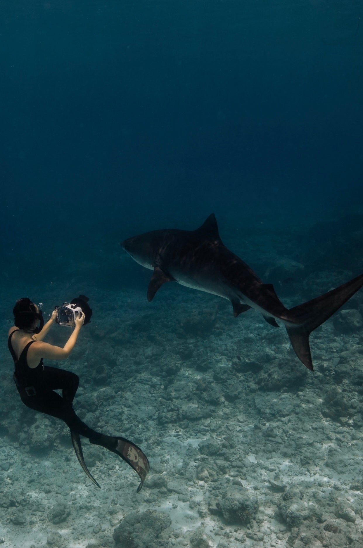 Kai Jet-rib- catsuit-sustainable activewear made in LAKai Jet-rib- catsuit-sustainable activewear |ABYSSE